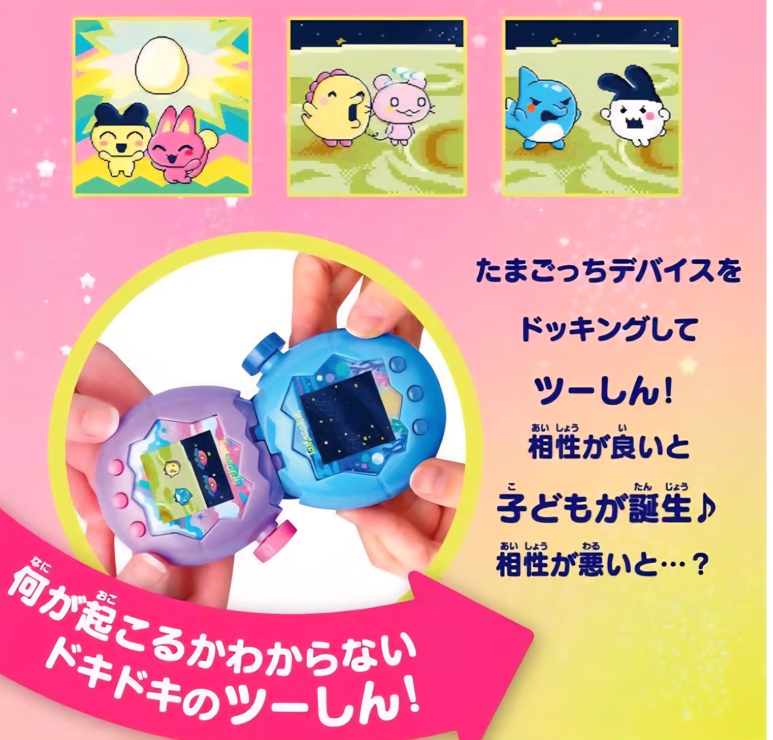 たま Paradise gotchi Tama ごっち たまごっち公式サイト | Paradise（たまごっちパラダイス） Tamagotchi パラダイス その他